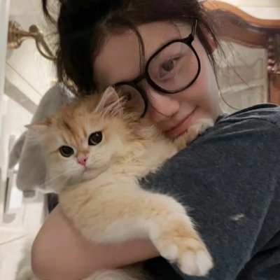 国土安全第八季